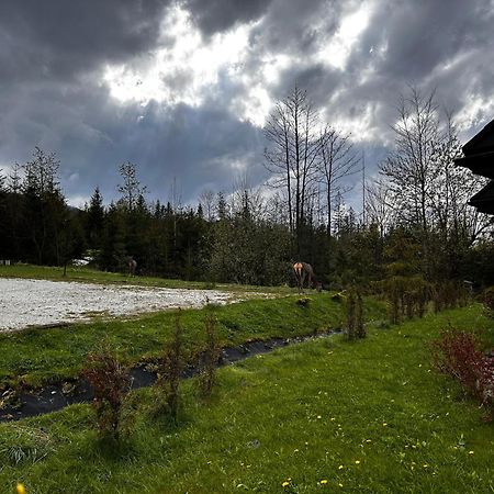 Apartamenty Willa Nika Zakopane Bagian luar foto
