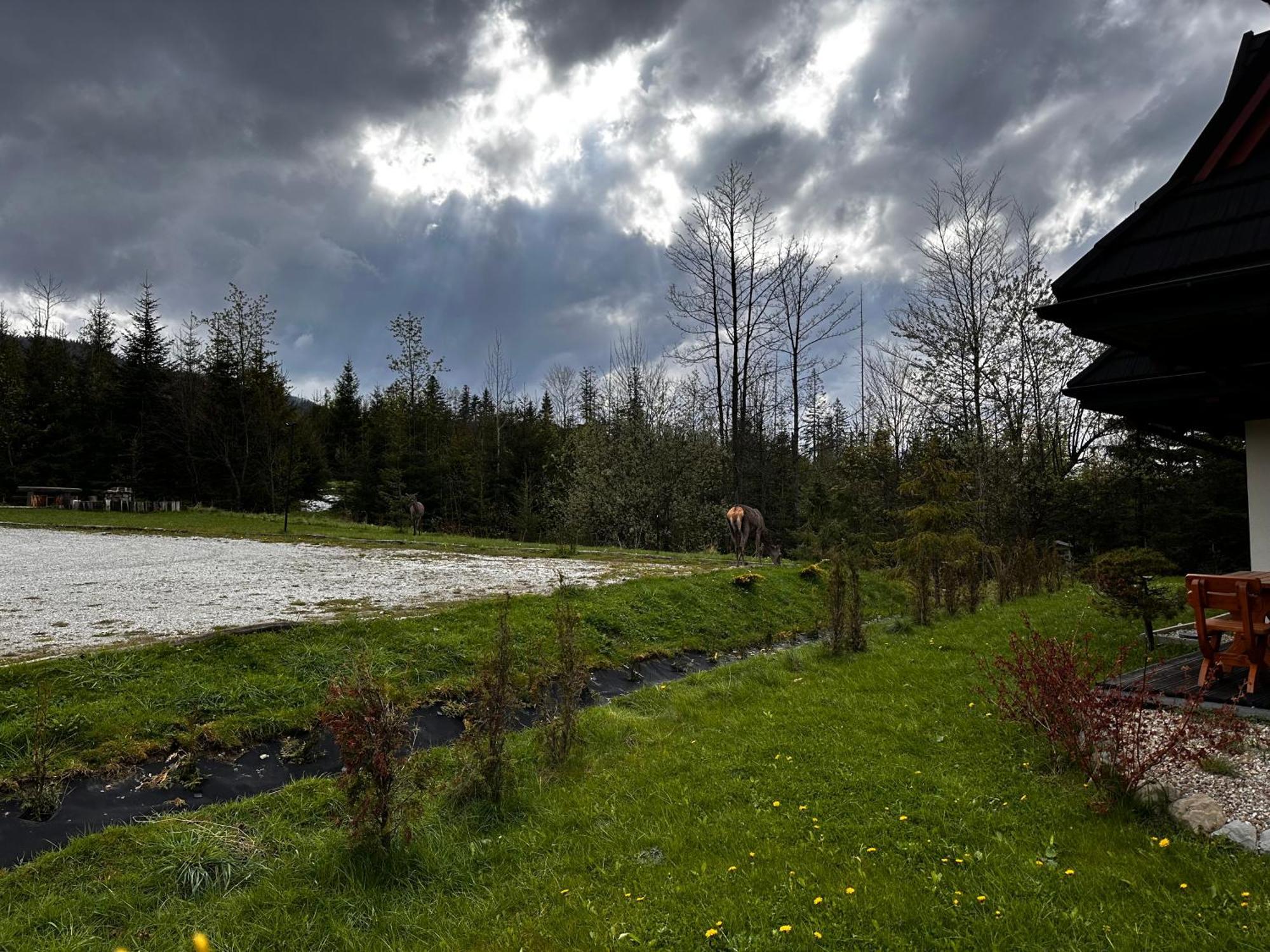 Apartamenty Willa Nika Zakopane Bagian luar foto