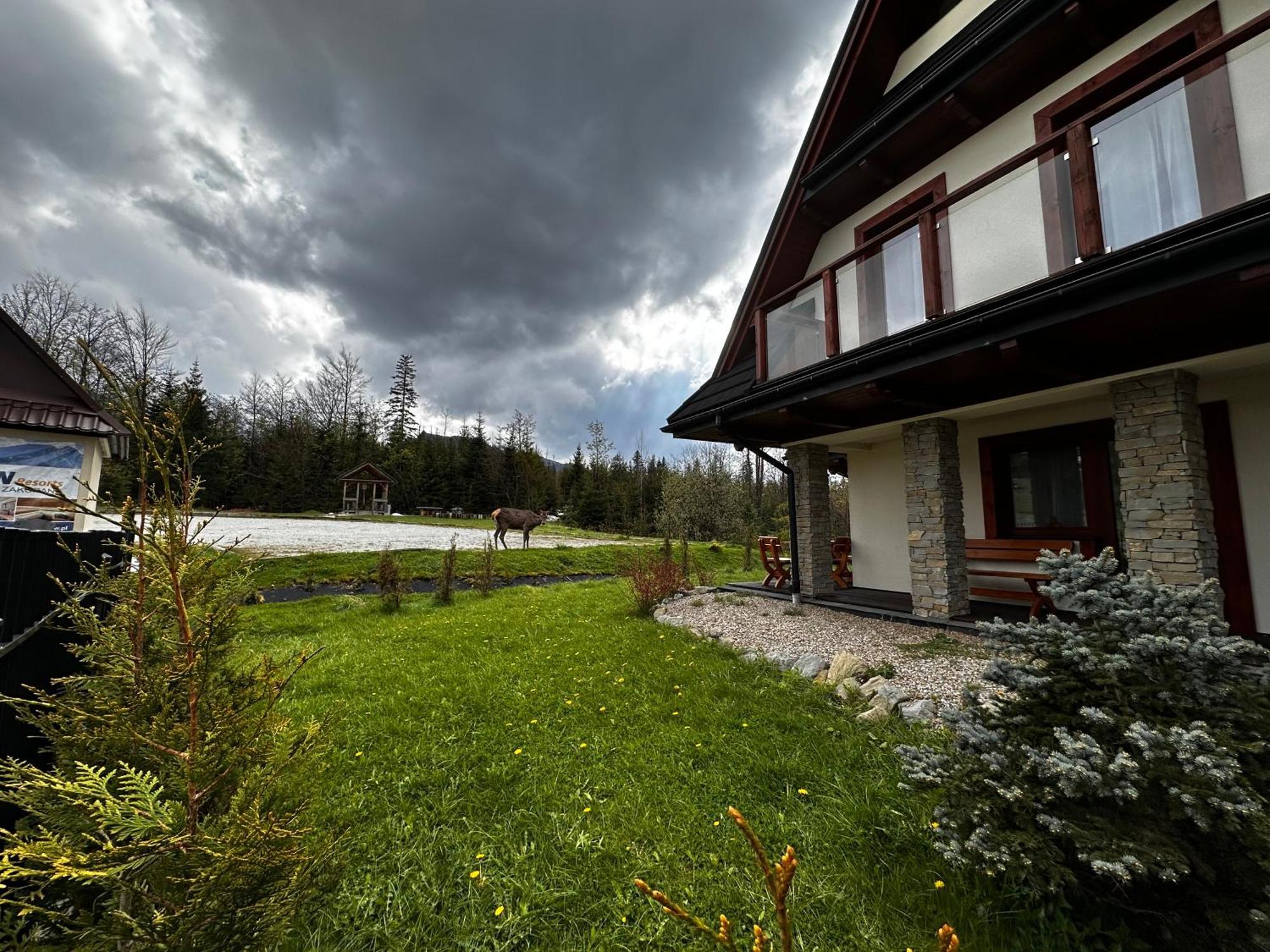 Apartamenty Willa Nika Zakopane Bagian luar foto
