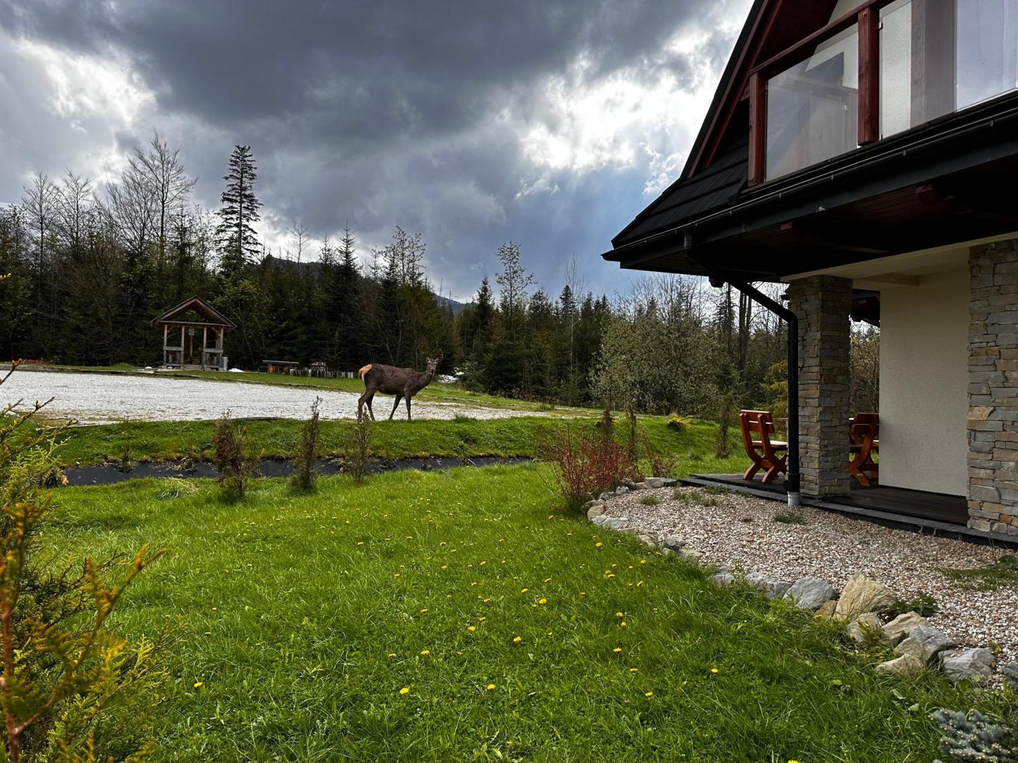 Apartamenty Willa Nika Zakopane Bagian luar foto